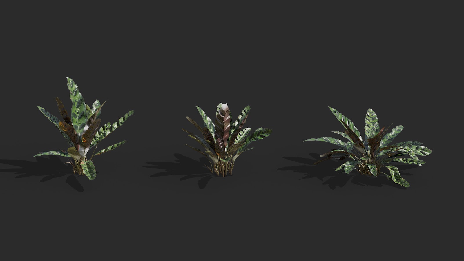 Maxtree - Plant Models Vol.62