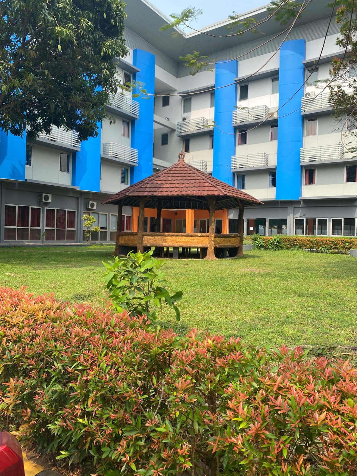 image of Canopy