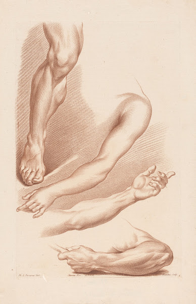Three arms and one leg 1749 1849