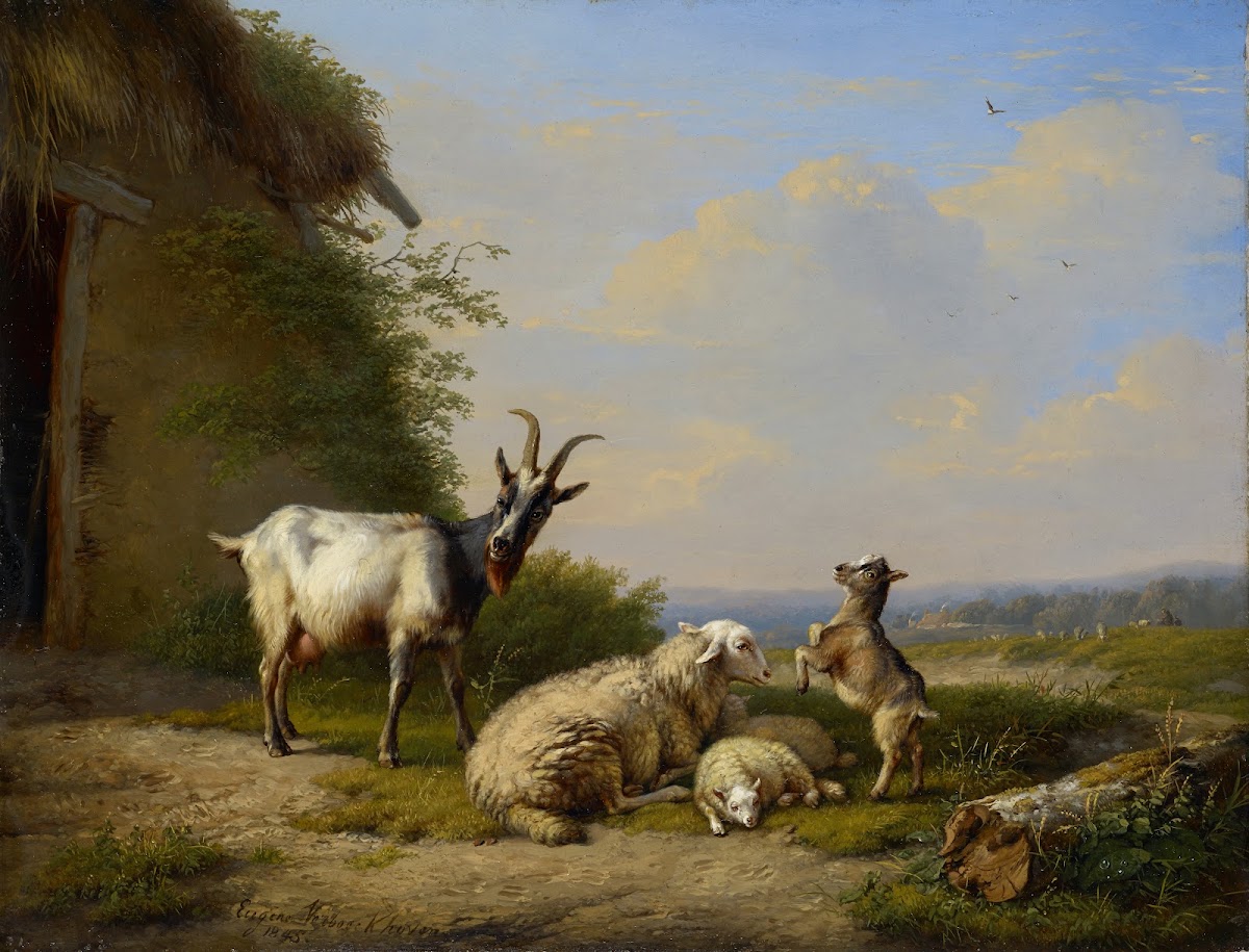 Goats and Sheep 1845
