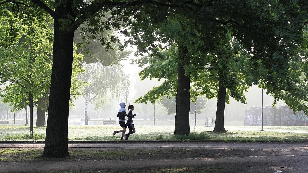 가족 혈당 관리에 유리한 운동 종류와 빈도 선택 기준