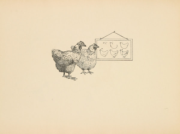 What to draw and how to draw it  Pl68 1913