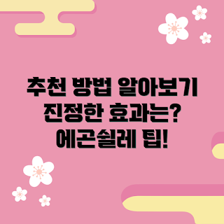 에곤쉴레도록 추천, 에곤쉴레 효과, 에곤쉴레 작품, 에곤쉴레 활용법, 에곤쉴레 스타일
