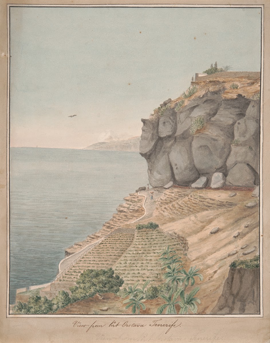 View from Port Orotava Tenerife 1825