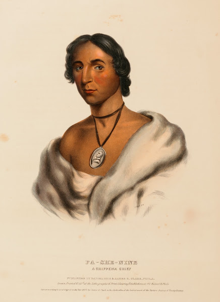 Pa She Nine A Chippewa Chief 1843
