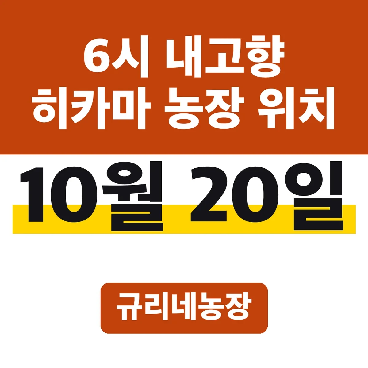 6시 내고향 히카마 농장 위치, 10월 20일 규리네농장