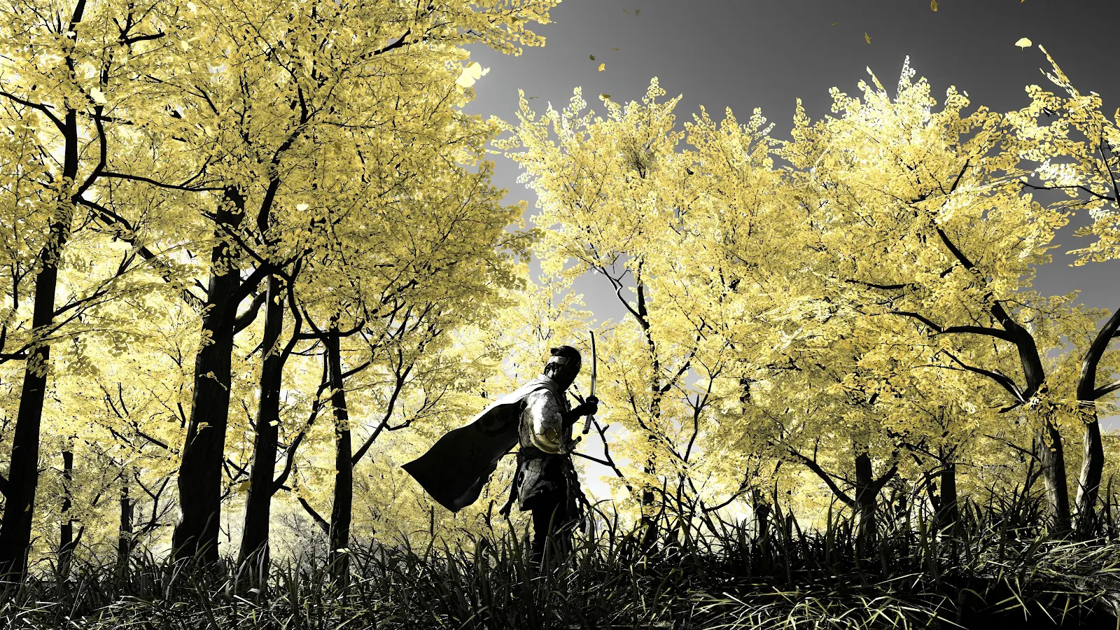 Jin Sakai In Golden Forest - Cinematic Game Photography 4K Wallpaper (3840x2160)