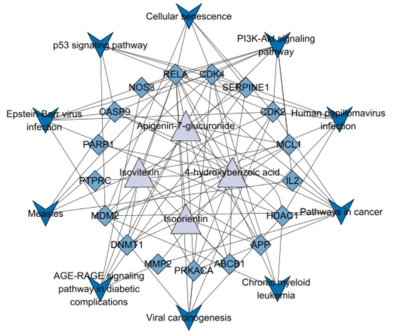 Quality Evaluation of Standard Decoction of Viticis Negundo Folium Based on Multi-Dimensional Quality Characterization Technology