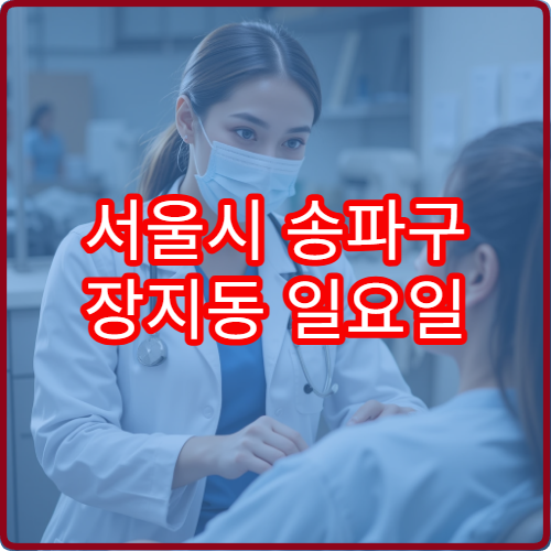 서울시 송파구 장지동 일요일 정형외과 진료 병원 통증 치료