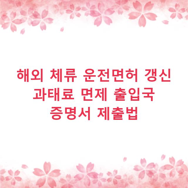 해외 체류 운전면허 갱신 과태료 면제 출입국 증명서 제출법