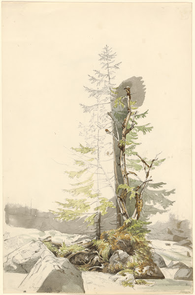 A Clump of Trees by a Rocky Stream in the Ramsau 1832 1833