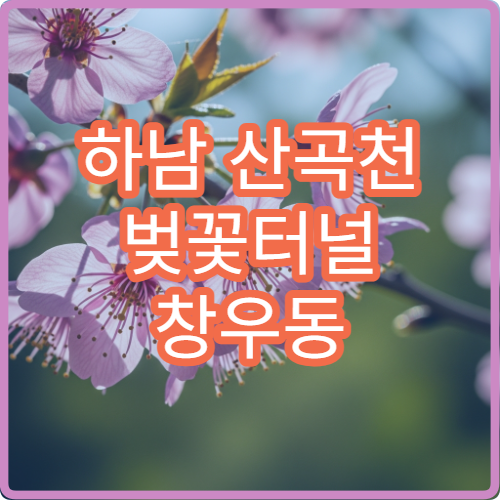 하남 산곡천 벚꽃터널 창우동 신안아파트 500m 산책 루트와 사진명당