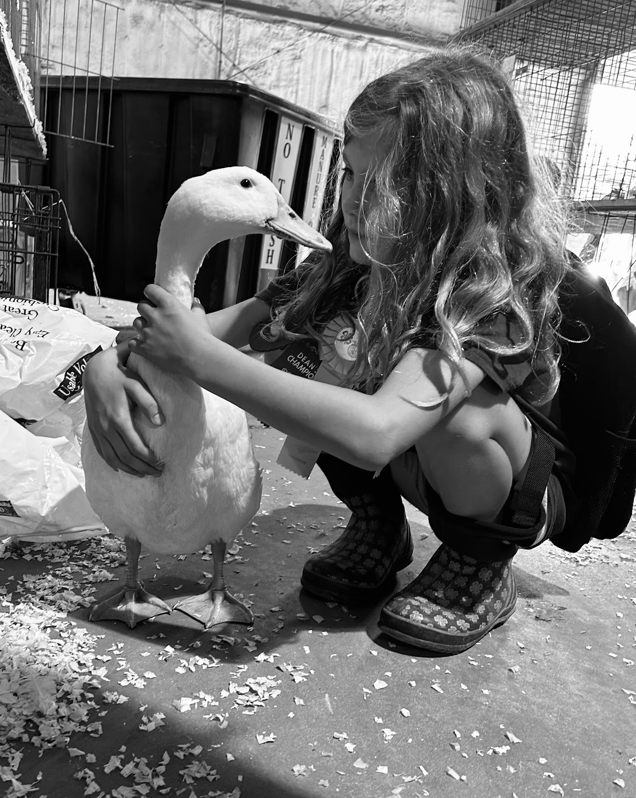 Pekin Grimaud Hybrid