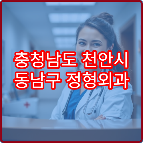 충청남도 천안시 동남구 정형외과 설날 명절 연휴 응급진료 병원 안내