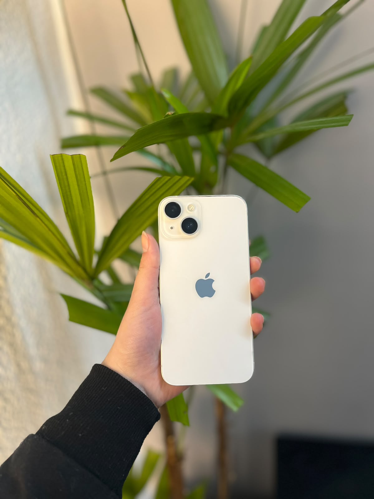 iPhone 14 128GB Estelar
