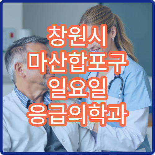 창원시 마산합포구 일요일 응급의학과 진료 병원 응급환자 처치 가능