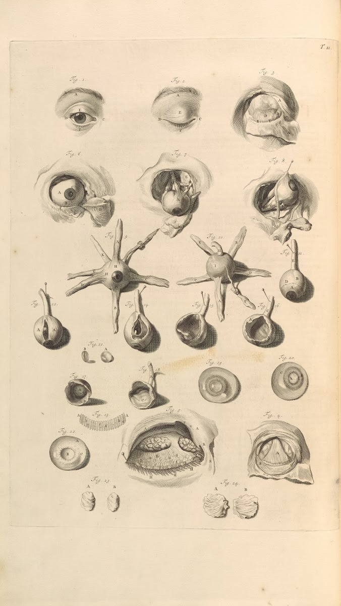 Anatomia humani corporis Pl012 1685