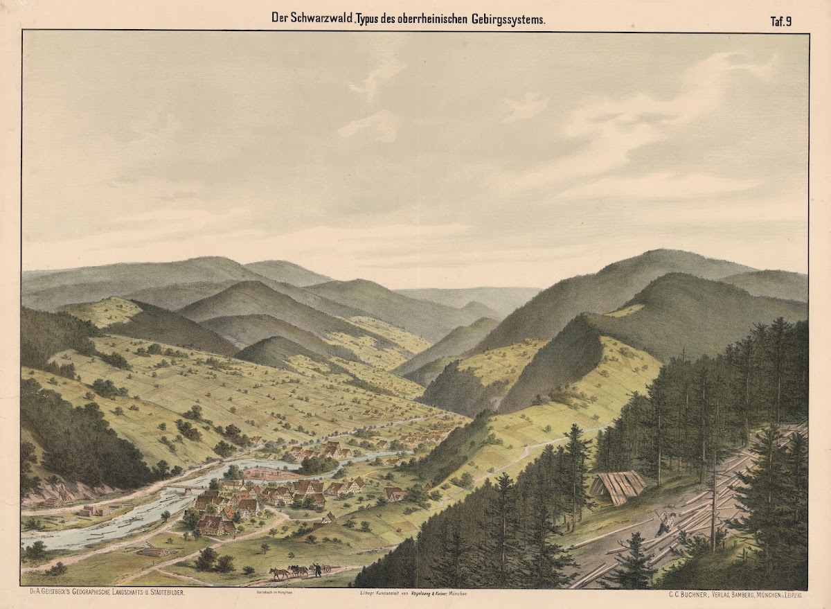 Der Schwarzwald Typus des ober rheinischen Gebirgssystems 1890