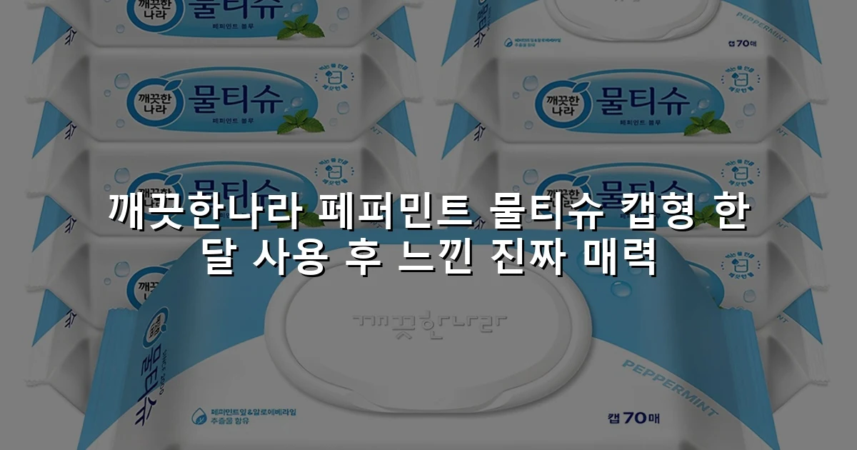 깨끗한나라 페퍼민트 물티슈 캡형 한 달 사용 후 느낀 진짜 매력
