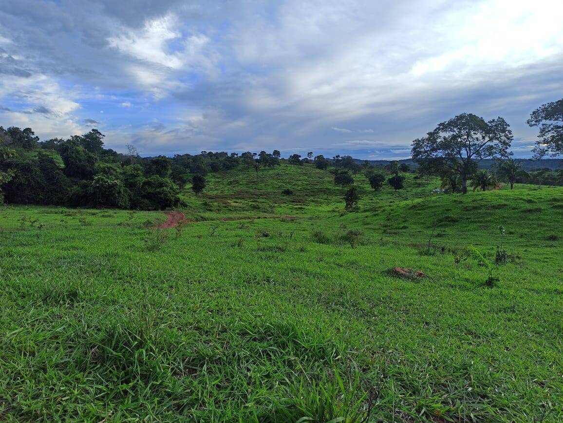 Fazenda no Município de Santa Cruz Goiás 3