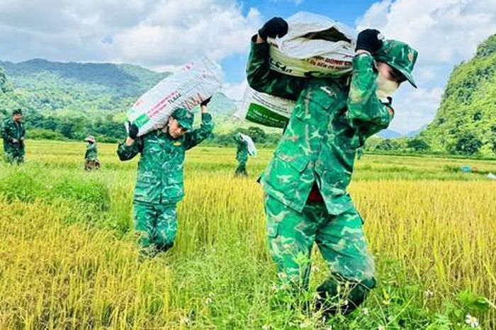 Thấm đẫm tình quân dân trên cánh đồng biên giới - Tạp chí Người Đưa Tin