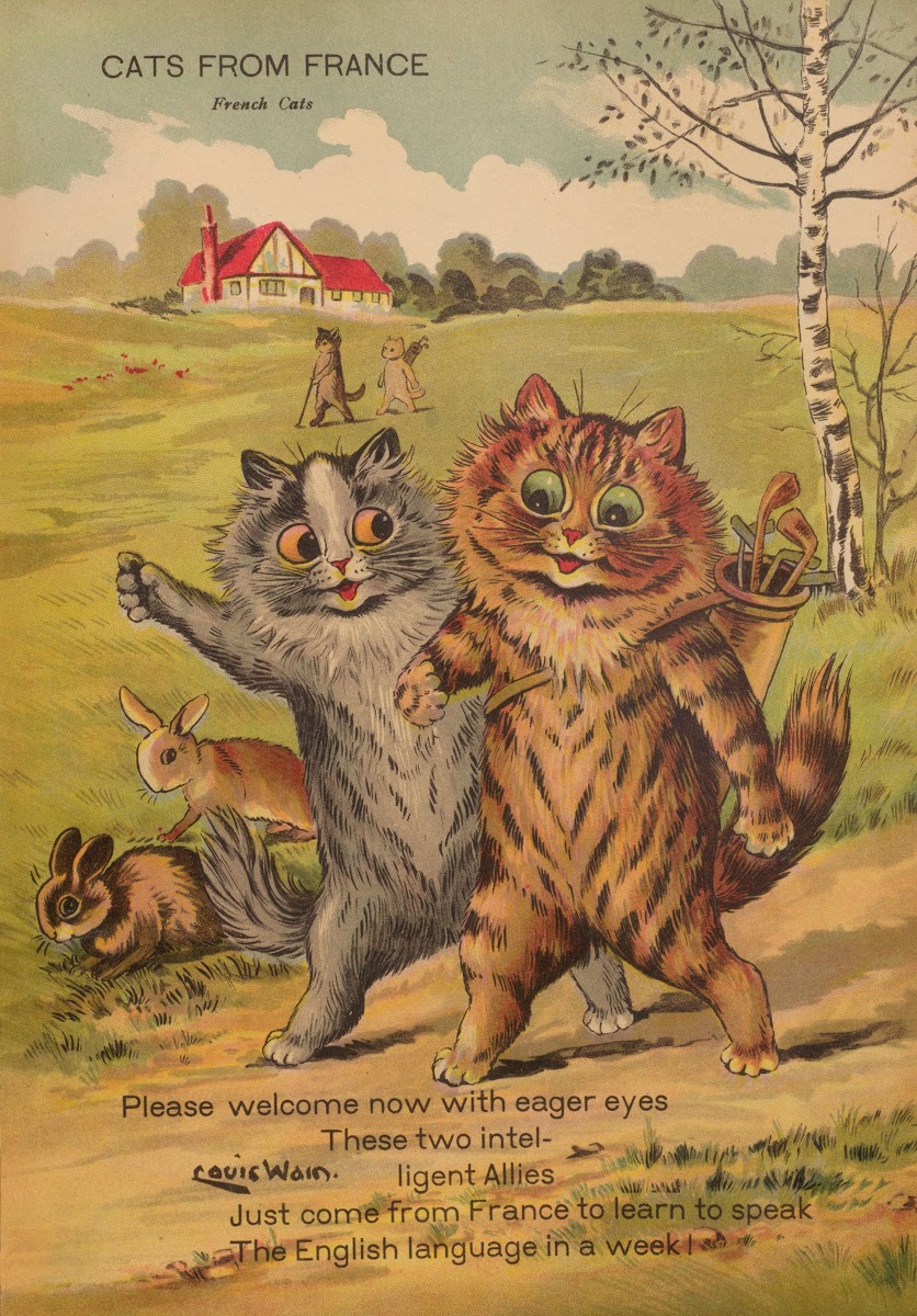 Cats from France 1914