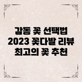 꽃다발리뷰, 가을 꽃 선택법, 2023 꽃 트렌드, 감동 꽃 전하기, 시즌 꽃다발