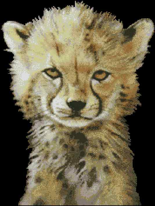 CMP 400249 Baby Cheetah