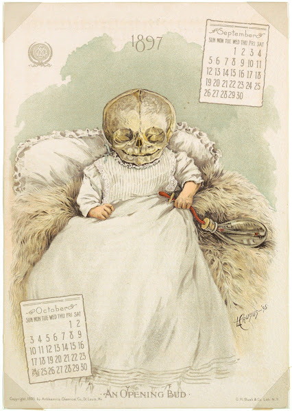 The Antikamnia Calendar An Opening Bud 1897