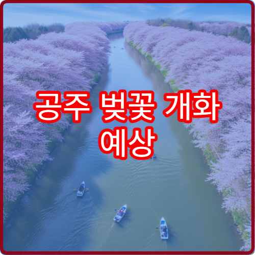 공주 벚꽃 개화 예상 공주 벚꽃 절정 시기