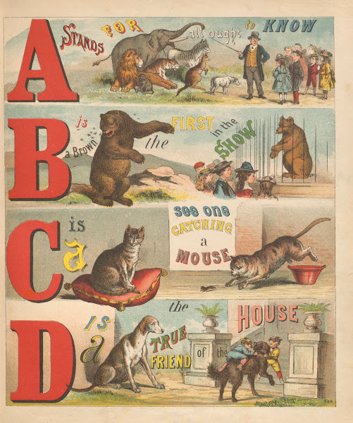 Alphabet Of Animals Pl1 1876