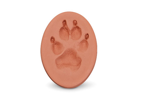Clay Paw Print