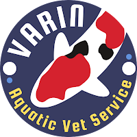 VARIN