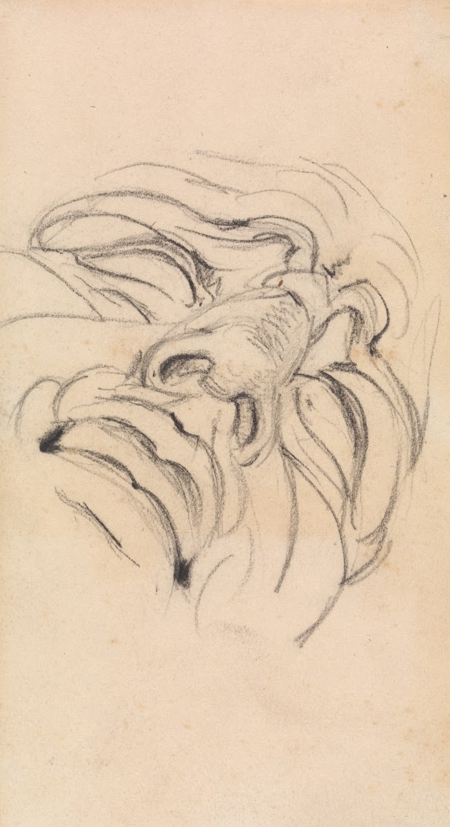 Study of a Mans Expressive Face