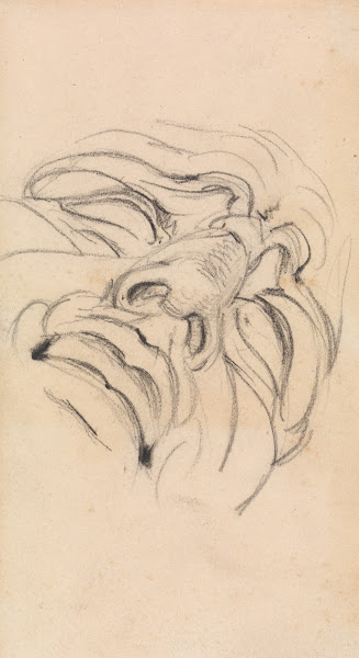 Study of a Mans Expressive Face