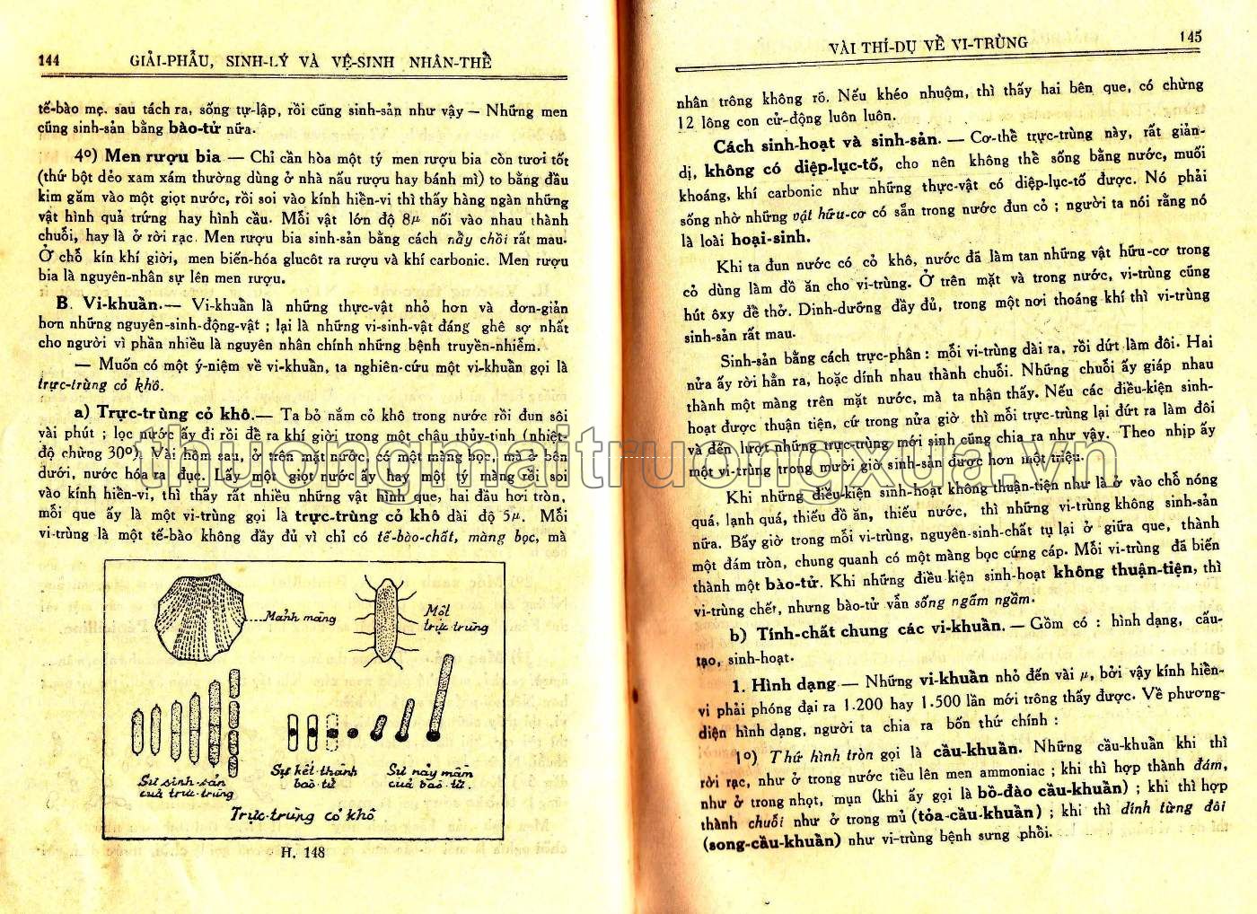 Vạn vật học lớp đệ tứ (1959) - Trang 73