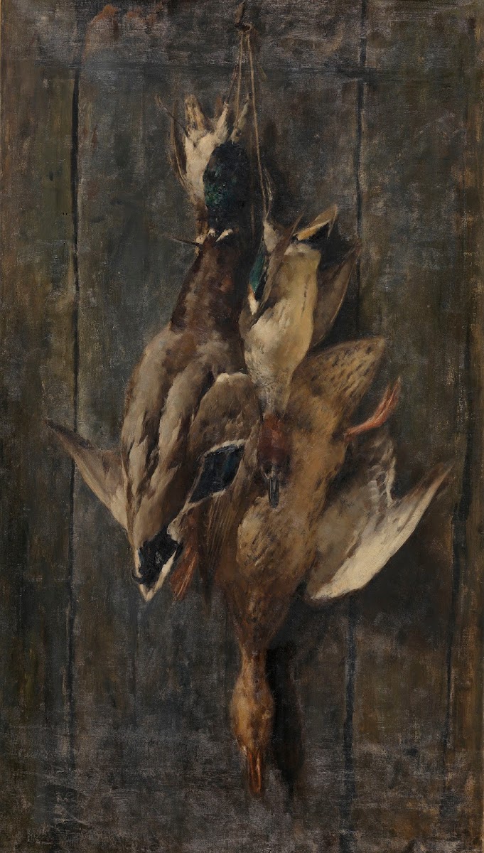 Waterfowl 1892