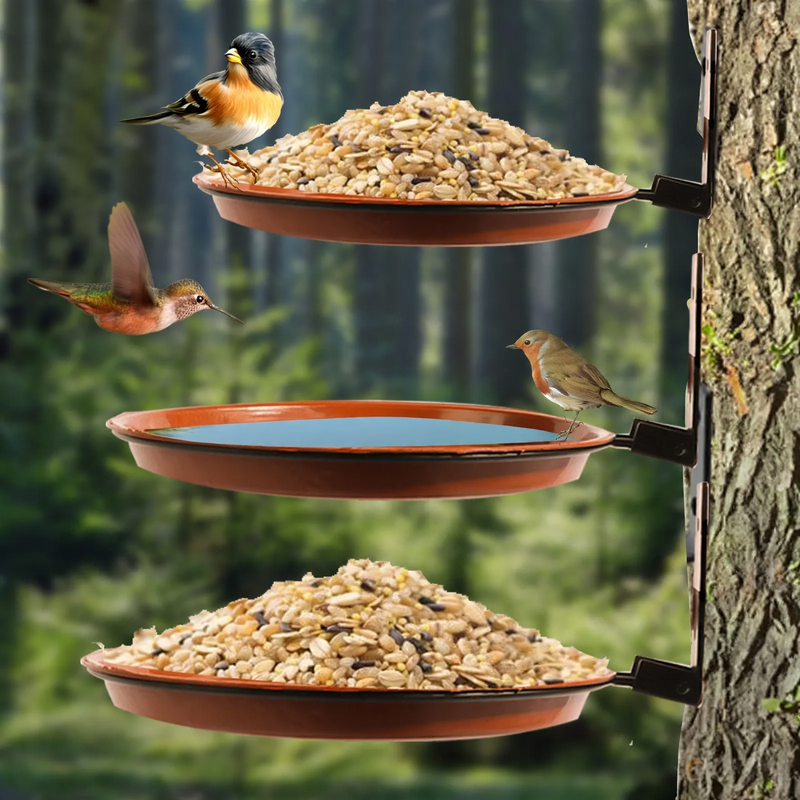 Versatile Bird Bath and Feeder for Balcony Railings