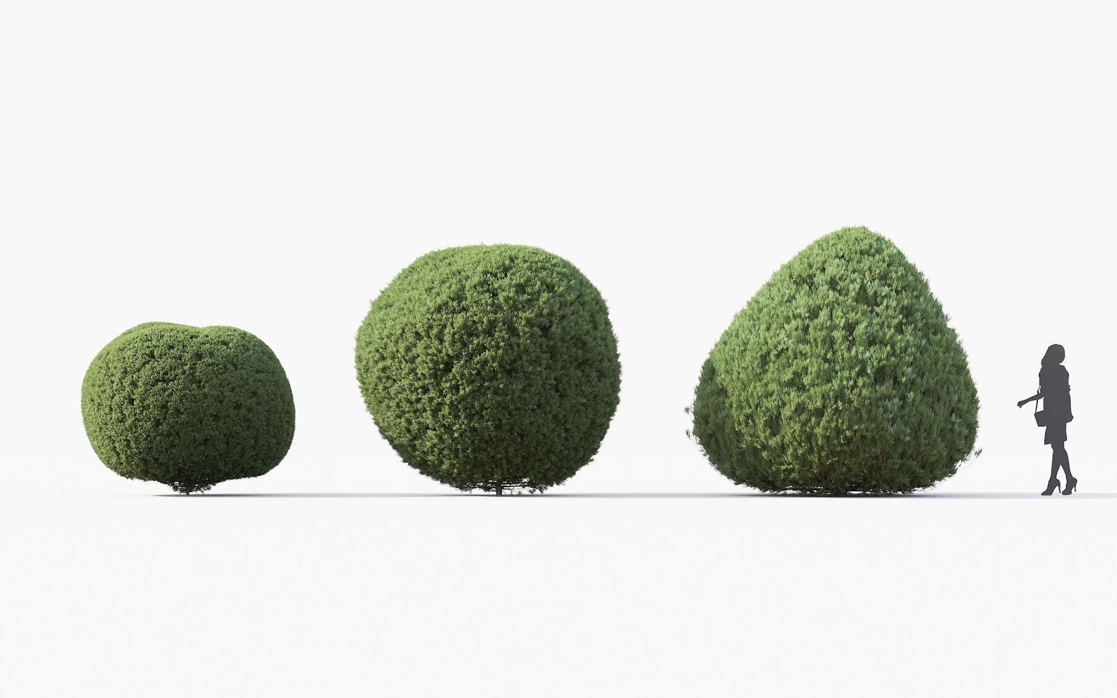 Maxtree - Plant Models Vol.28