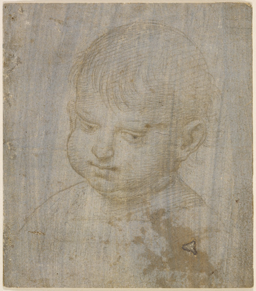 A childs head ca 1504 1506