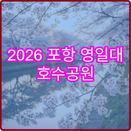 2026 포항 영일대 호수공원 주차 피하기 대중교통 미사역 15분 루트