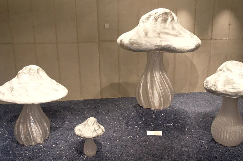 The Ultimate K-Beauty Pilgrimage: Tamburins Seongsu Flagship Store & Deep-Dive Guide - Tamburins Seongsu, Seongsu-dong Hot Place