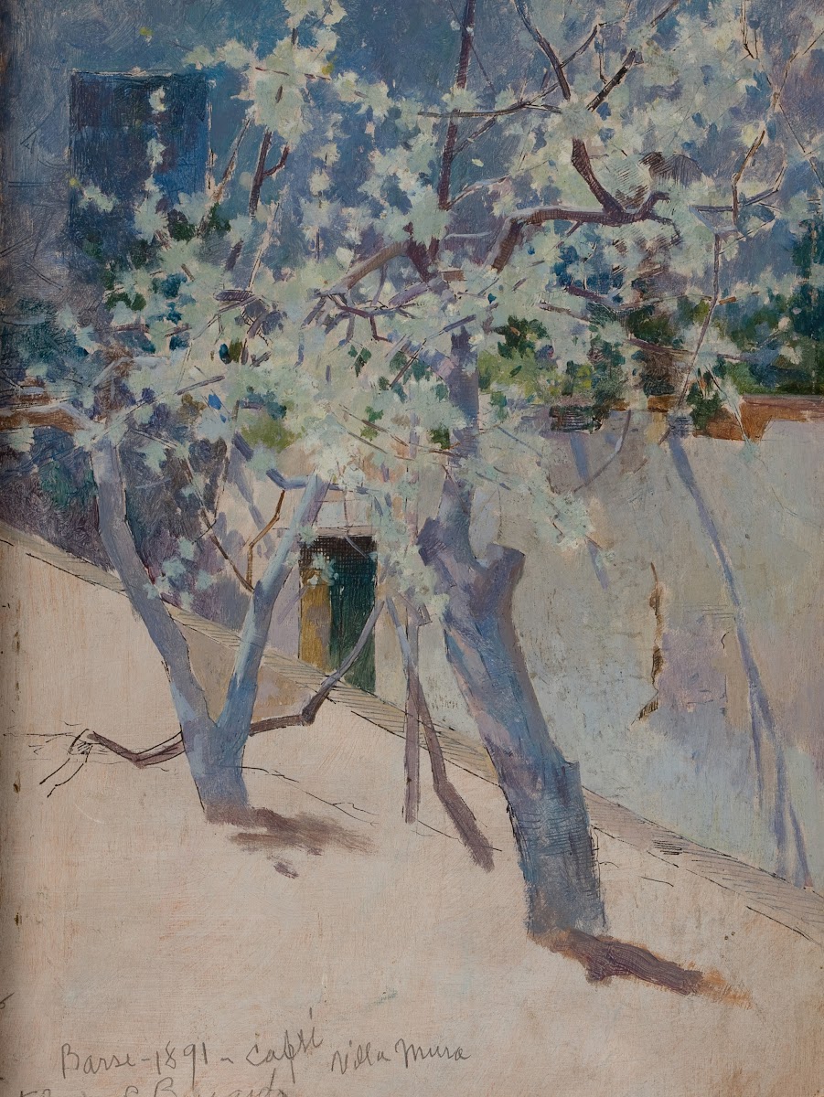 Tree Capri 1891