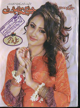 Khawateen Digest January 2014 Download PDF