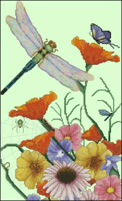CMP 130133 The Dragonfly