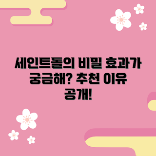 세인트돌, 세인트돌 효과, 세인트돌 추천, 세인트돌 장점, 세인트돌 사용법
