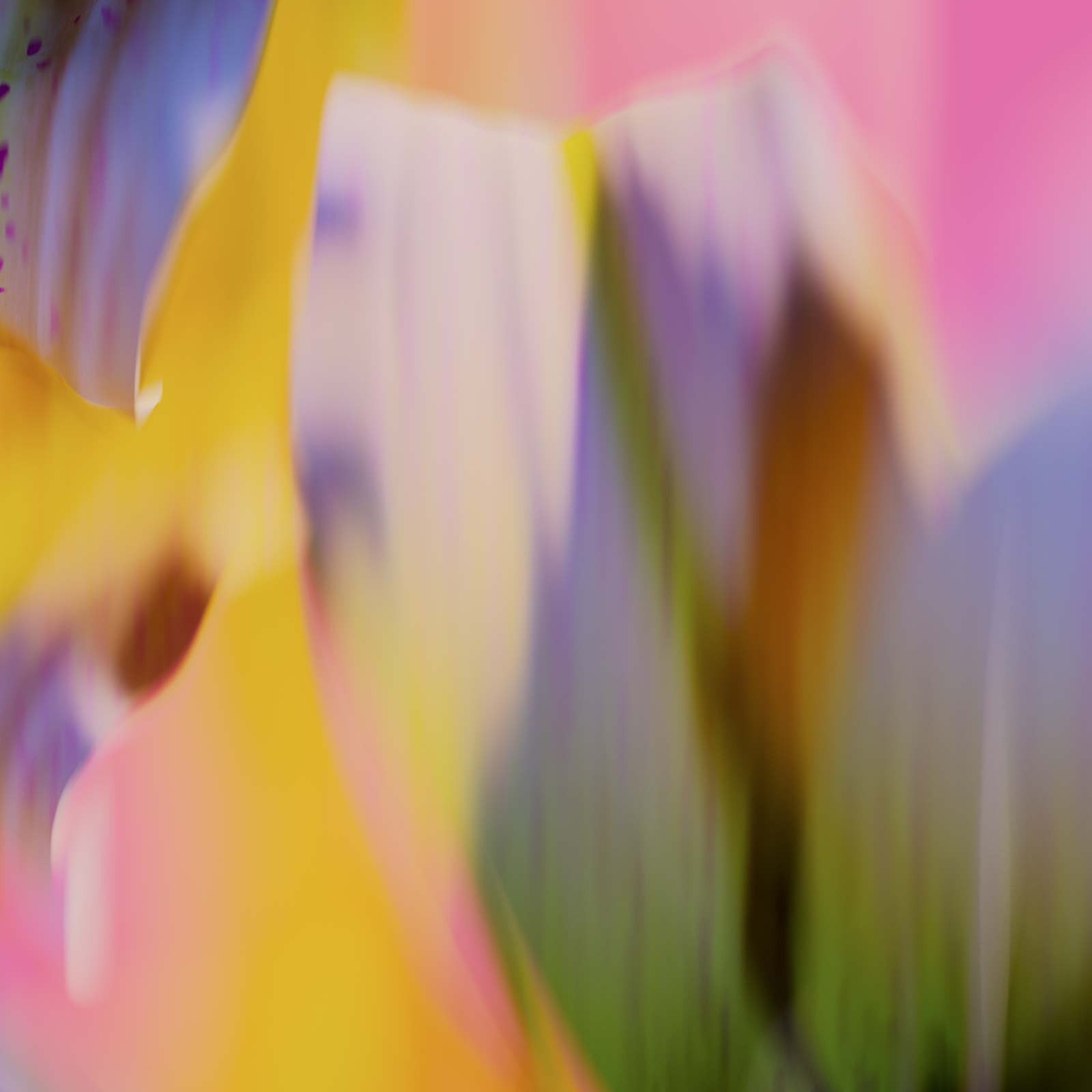 Download Abstract, Flower, Colorful, Blur Full HD iPhone