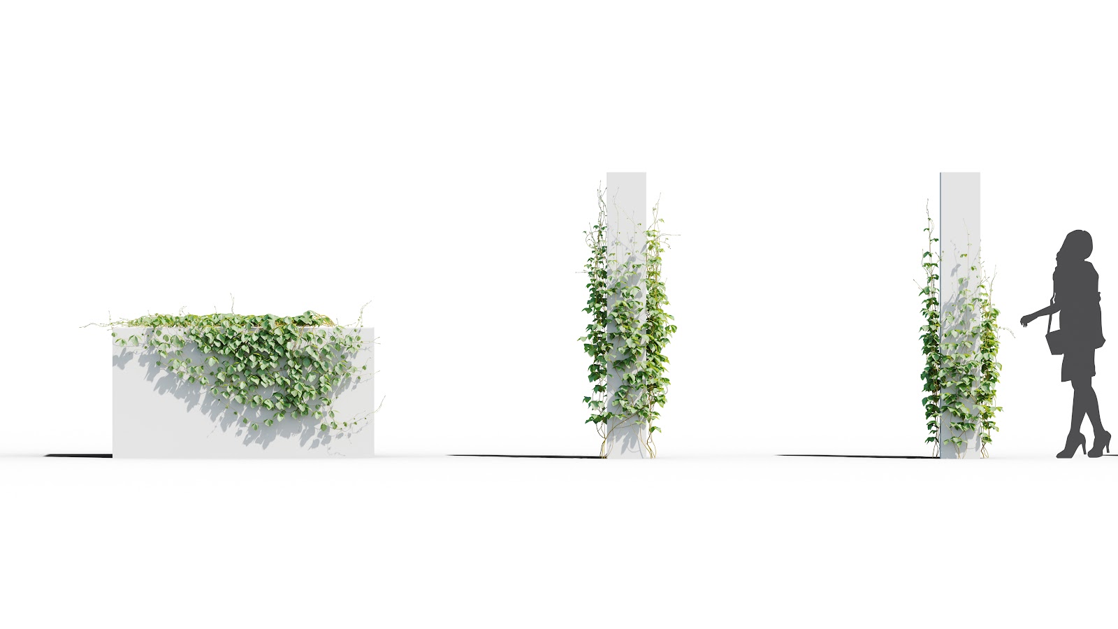 Maxtree - Plant Models Vol.37