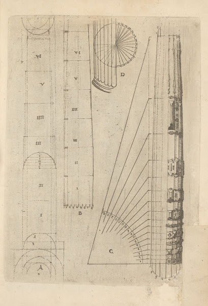 Proportional dimensions of the shaft of a column from the Tuscan order 1593 1595