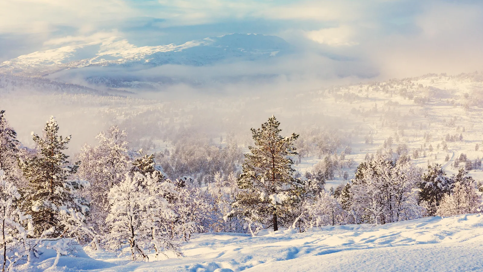 Misty Northern Winter Landscape - Winter Photography 4K Wallpaper (3840x2160)